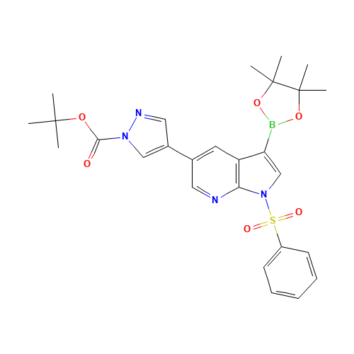 tert-butyl 4-[1-(benzenesulfonyl)-3-(4,4,5,5-tetramethyl-1,3,2-dioxaborolan-2-yl)pyrrolo[2,3-b]pyridin-5-yl]pyrazole-1-carboxylate (CAS: 1147998-42-2) - Related Chemical Product