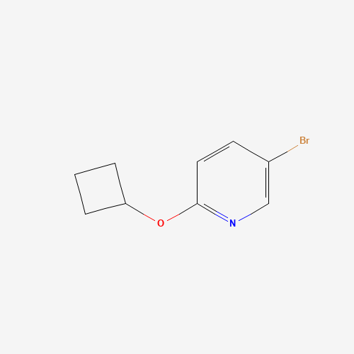 5-bromo-2-cyclobutyloxypyridine (CAS: 1159816-70-2) - Related Chemical Product