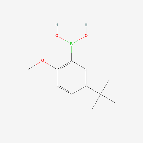 (5-tert-butyl-2-methoxyphenyl)boronic acid (CAS: 128733-85-7) - Related Chemical Product