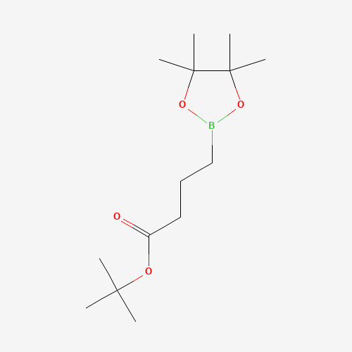 tert-butyl 4-(4,4,5,5-tetramethyl-1,3,2-dioxaborolan-2-yl)butanoate (CAS: 1454901-93-9) - Related Chemical Product