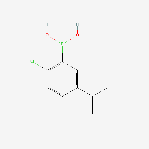 (2-chloro-5-propan-2-ylphenyl)boronic acid (CAS: 875550-89-3) - Related Chemical Product