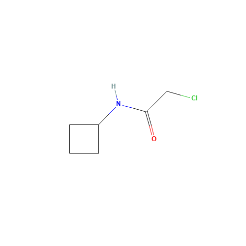 2-chloro-N-cyclobutylacetamide (CAS: 1192687-51-6) - Related Chemical Product