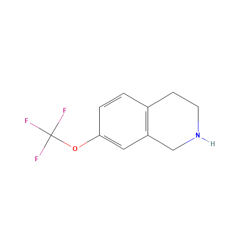7-(trifluoromethoxy)-1,2,3,4-tetrahydroisoquinoline (CAS: 199678-30-3) - Related Chemical Product