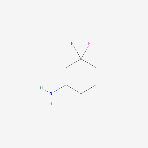 3,3-difluorocyclohexan-1-amine (CAS: 921753-34-6) - Related Chemical Product