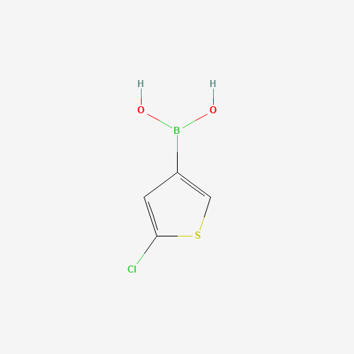 (5-chlorothiophen-3-yl)boronic acid (CAS: 199659-23-9) - Chemical Structure and Molecular Formula 