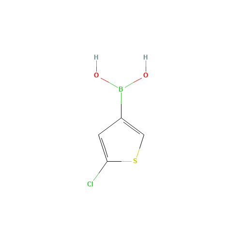 (5-chlorothiophen-3-yl)boronic acid (CAS: 199659-23-9) - Related Chemical Product