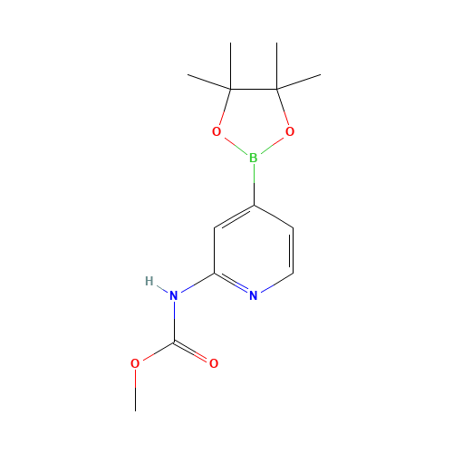 methyl N-[4-(4,4,5,5-tetramethyl-1,3,2-dioxaborolan-2-yl)pyridin-2-yl]carbamate (CAS: 1353004-64-4) - Related Chemical Product