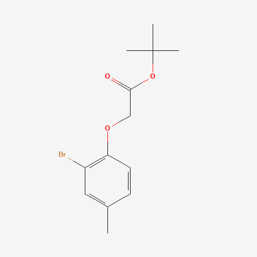 tert-butyl 2-(2-bromo-4-methylphenoxy)acetate (CAS: 1240286-85-4) - Related Chemical Product