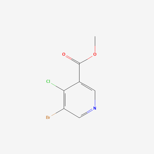 methyl 5-bromo-4-chloropyridine-3-carboxylate (CAS: 1256808-62-4) - Related Chemical Product