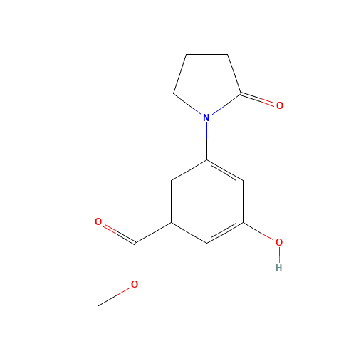 methyl 3-hydroxy-5-(2-oxopyrrolidin-1-yl)benzoate (CAS: 537658-12-1) - Related Chemical Product