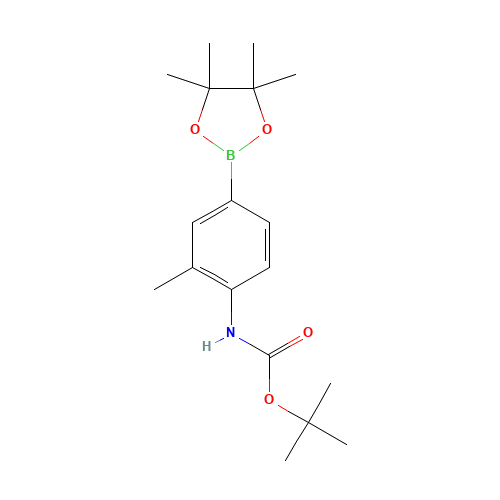 tert-butyl N-[2-methyl-4-(4,4,5,5-tetramethyl-1,3,2-dioxaborolan-2-yl)phenyl]carbamate (CAS: 508223-54-9) - Related Chemical Product