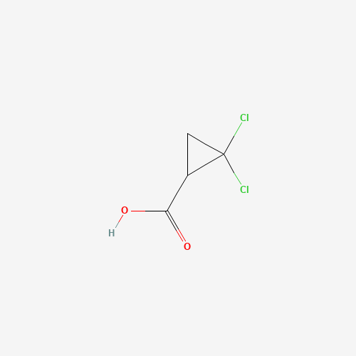 2,2-dichlorocyclopropane-1-carboxylic acid (CAS: 5365-14-0) - Related Chemical Product