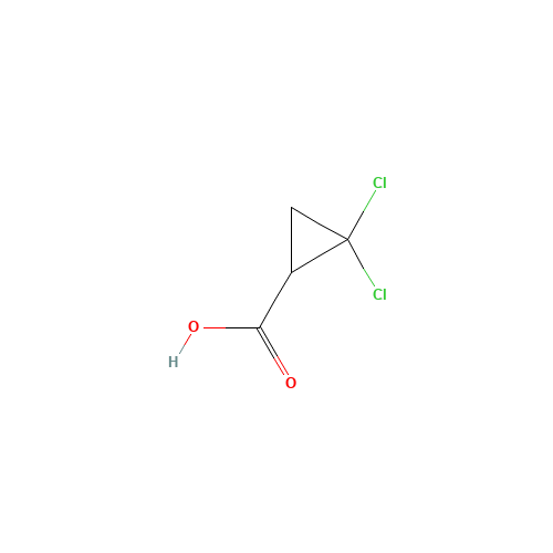 2,2-dichlorocyclopropane-1-carboxylic acid (CAS: 5365-14-0) - Related Chemical Product