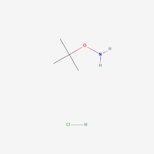 O-tert-butylhydroxylamine;hydrochloride (CAS: 39684-28-1) - Related Chemical Product
