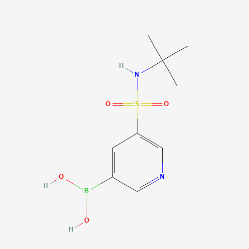 [5-(tert-butylsulfamoyl)pyridin-3-yl]boronic acid (CAS: 1314987-50-2) - Related Chemical Product