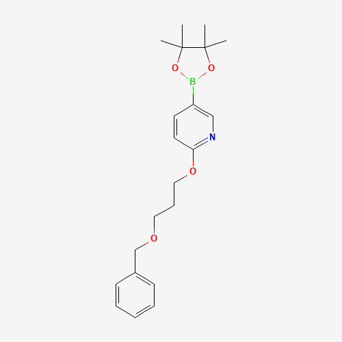 2-(3-phenylmethoxypropoxy)-5-(4,4,5,5-tetramethyl-1,3,2-dioxaborolan-2-yl)pyridine (CAS: 1257553-82-4) - Related Chemical Product