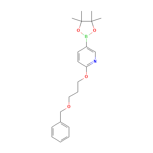 2-(3-phenylmethoxypropoxy)-5-(4,4,5,5-tetramethyl-1,3,2-dioxaborolan-2-yl)pyridine (CAS: 1257553-82-4) - Related Chemical Product