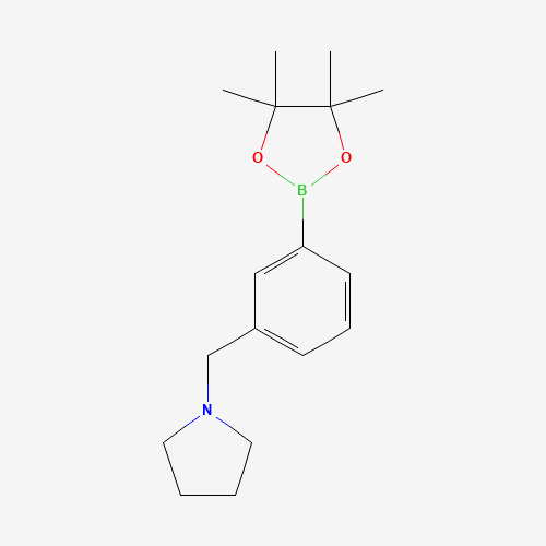 1-[[3-(4,4,5,5-tetramethyl-1,3,2-dioxaborolan-2-yl)phenyl]methyl]pyrrolidine (CAS: 884507-45-3) - Related Chemical Product