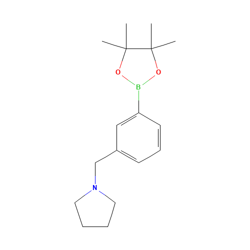 1-[[3-(4,4,5,5-tetramethyl-1,3,2-dioxaborolan-2-yl)phenyl]methyl]pyrrolidine (CAS: 884507-45-3) - Related Chemical Product