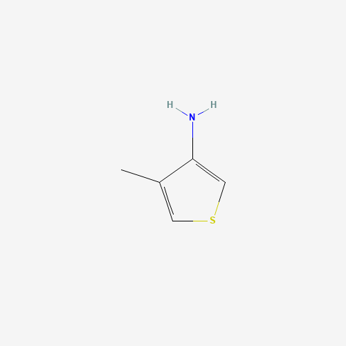 4-methylthiophen-3-amine (CAS: 23967-97-7) - Related Chemical Product