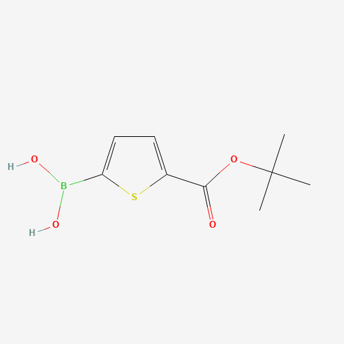 [5-[(2-methylpropan-2-yl)oxycarbonyl]thiophen-2-yl]boronic acid (CAS: 925921-29-5) - Related Chemical Product