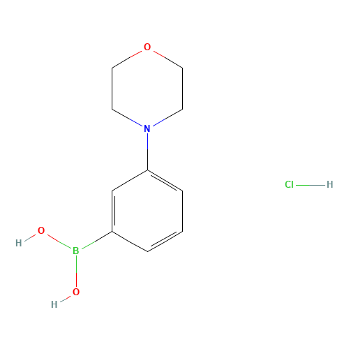 (3-morpholin-4-ylphenyl)boronic acid;hydrochloride (CAS: 863248-20-8) - Related Chemical Product