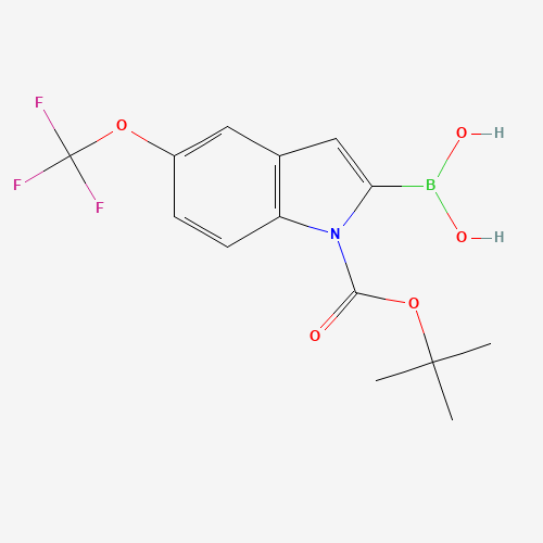 [1-[(2-methylpropan-2-yl)oxycarbonyl]-5-(trifluoromethoxy)indol-2-yl]boronic acid (CAS: 1034566-16-9) - Related Chemical Product