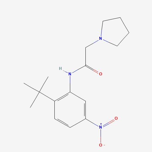 N-(2-tert-butyl-5-nitrophenyl)-2-pyrrolidin-1-ylacetamide (CAS: 1135496-00-2) - Chemical Structure and Molecular Formula 