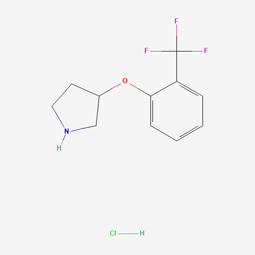 3-[2-(trifluoromethyl)phenoxy]pyrrolidine;hydrochloride (CAS: 1185301-92-1) - Related Chemical Product