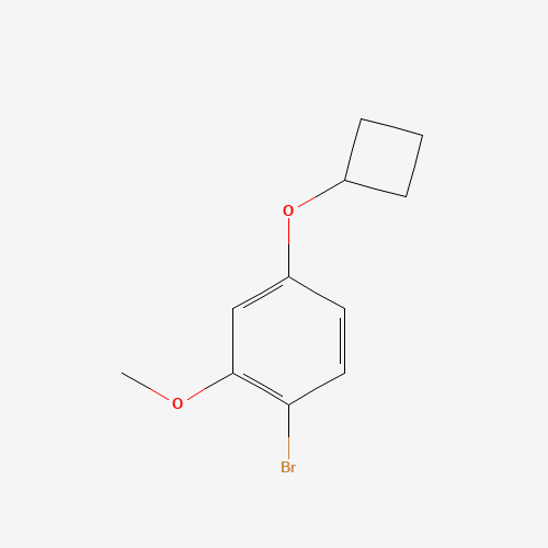 1-bromo-4-cyclobutyloxy-2-methoxybenzene (CAS: 1353776-77-8) - Related Chemical Product