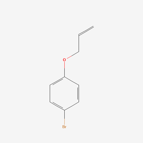 1-bromo-4-prop-2-enoxybenzene (CAS: 25244-30-8) - Related Chemical Product