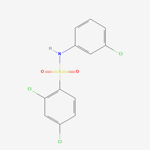 2,4-dichloro-N-(3-chlorophenyl)benzenesulfonamide (CAS: 315227-12-4) - Related Chemical Product