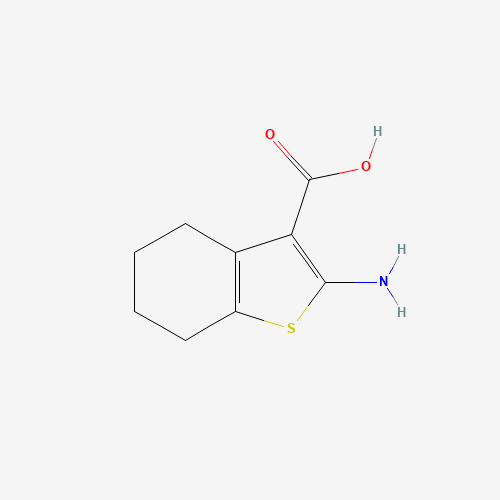 2-amino-4,5,6,7-tetrahydro-1-benzothiophene-3-carboxylic acid (CAS: 5936-58-3) - Related Chemical Product