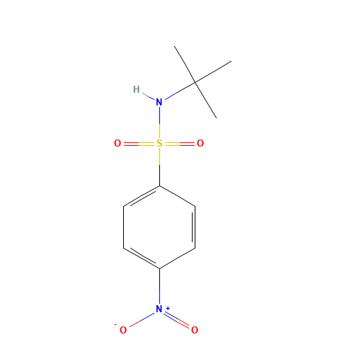 N-tert-butyl-4-nitrobenzenesulfonamide (CAS: 49690-09-7) - Chemical Structure and Molecular Formula 