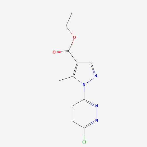 ethyl 1-(6-chloropyridazin-3-yl)-5-methylpyrazole-4-carboxylate (CAS: 303144-30-1) - Related Chemical Product