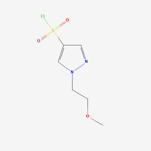 1-(2-methoxyethyl)pyrazole-4-sulfonyl chloride (CAS: 1183082-06-5) - Related Chemical Product