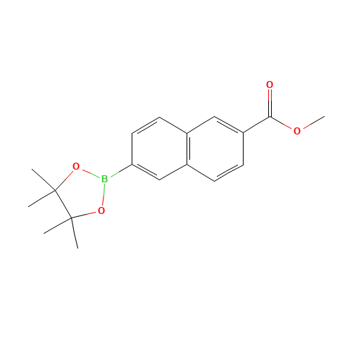 methyl 6-(4,4,5,5-tetramethyl-1,3,2-dioxaborolan-2-yl)naphthalene-2-carboxylate (CAS: 736989-93-8) - Related Chemical Product