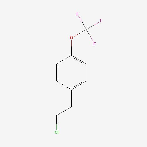 1-(2-chloroethyl)-4-(trifluoromethoxy)benzene (CAS: 1339641-57-4) - Related Chemical Product