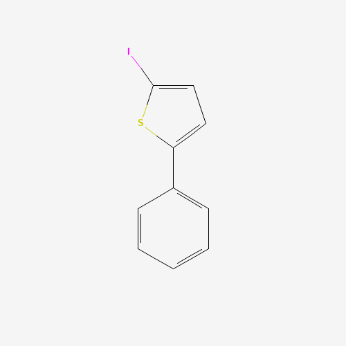 2-iodo-5-phenylthiophene (CAS: 13781-37-8) - Related Chemical Product