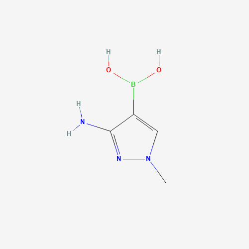 (3-amino-1-methylpyrazol-4-yl)boronic acid (CAS: 1022156-12-2) - Related Chemical Product