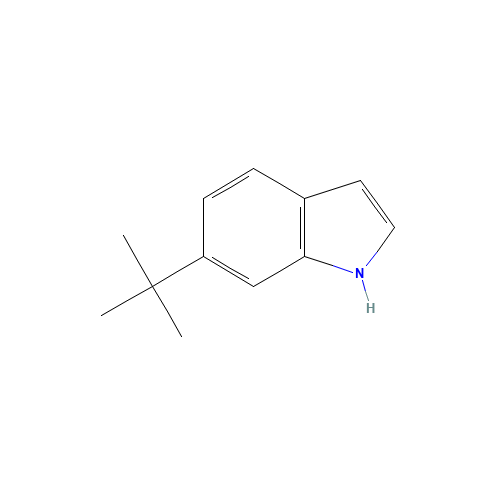 6-tert-butyl-1H-indole (CAS: 887581-54-6) - Related Chemical Product