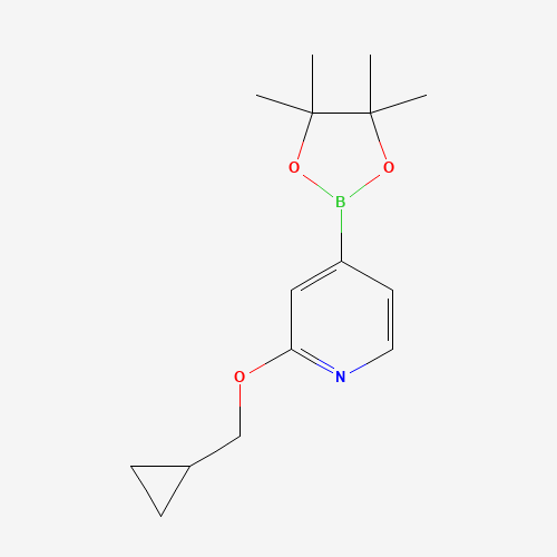2-(cyclopropylmethoxy)-4-(4,4,5,5-tetramethyl-1,3,2-dioxaborolan-2-yl)pyridine (CAS: 1346707-99-0) - Related Chemical Product