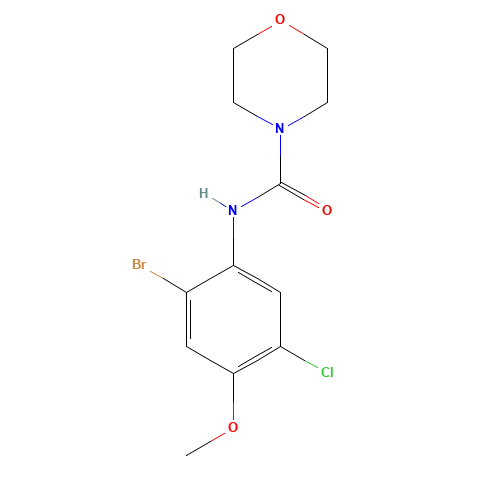 N-(2-bromo-5-chloro-4-methoxyphenyl)morpholine-4-carboxamide (CAS: 685536-68-9) - Related Chemical Product