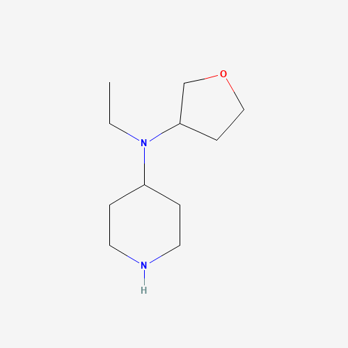 N-ethyl-N-(oxolan-3-yl)piperidin-4-amine (CAS: 1339485-61-8) - Related Chemical Product