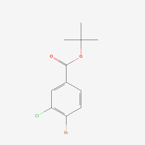 tert-butyl 4-bromo-3-chlorobenzoate (CAS: 1494593-59-7) - Related Chemical Product
