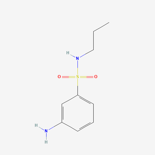 3-amino-N-propylbenzenesulfonamide (CAS: 143174-10-1) - Related Chemical Product