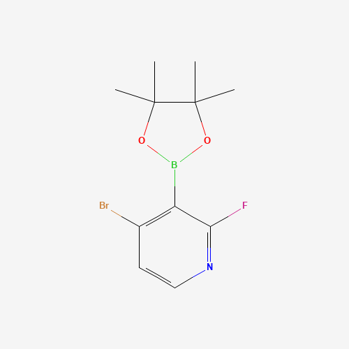 4-bromo-2-fluoro-3-(4,4,5,5-tetramethyl-1,3,2-dioxaborolan-2-yl)pyridine (CAS: 1150561-79-7) - Related Chemical Product