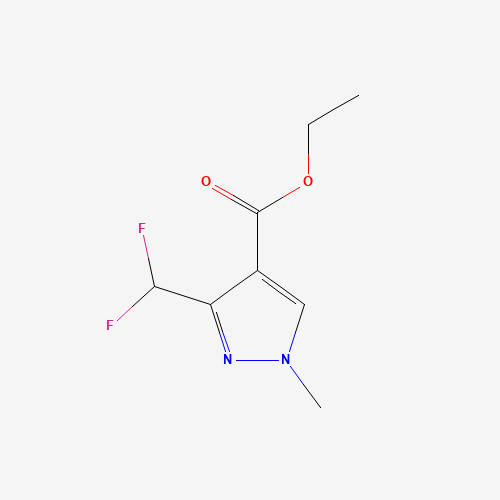 ethyl 3-(difluoromethyl)-1-methylpyrazole-4-carboxylate (CAS: 141573-95-7) - Related Chemical Product