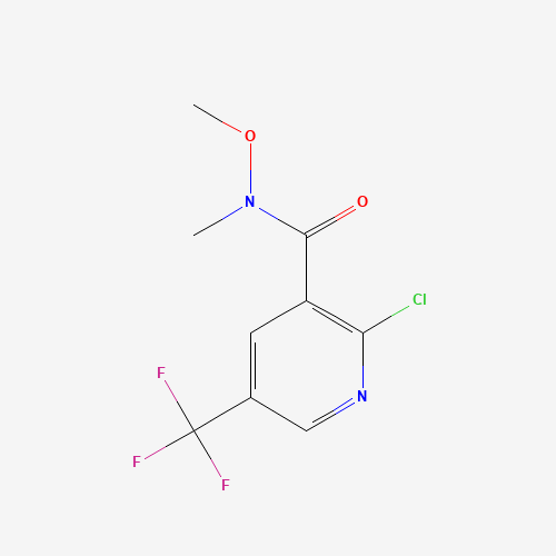 tert-butyl 3-oxo-4-pyridin-2-ylpiperazine-1-carboxylate (CAS: 1279815-59-6) - Related Chemical Product