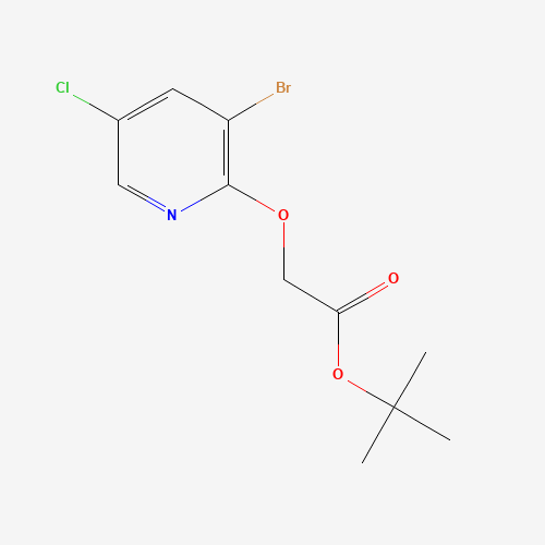 tert-butyl 2-(3-bromo-5-chloropyridin-2-yl)oxyacetate (CAS: 1240288-29-2) - Related Chemical Product